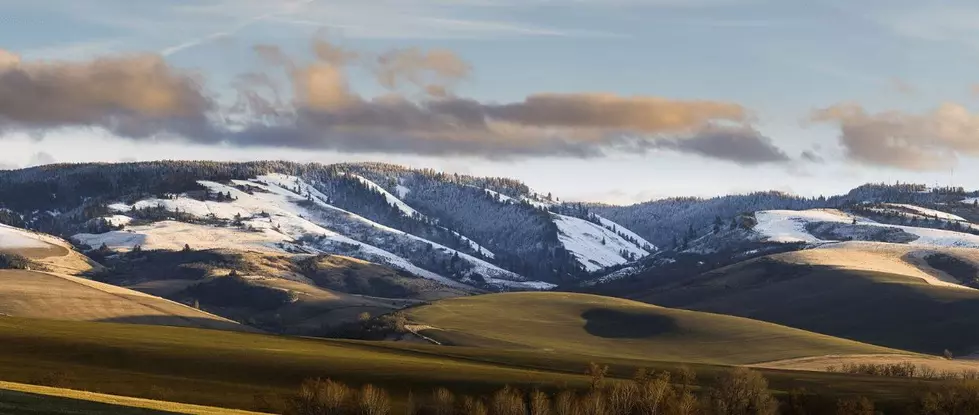 5 Enchanting Reasons to Experience Walla Walla This Winter