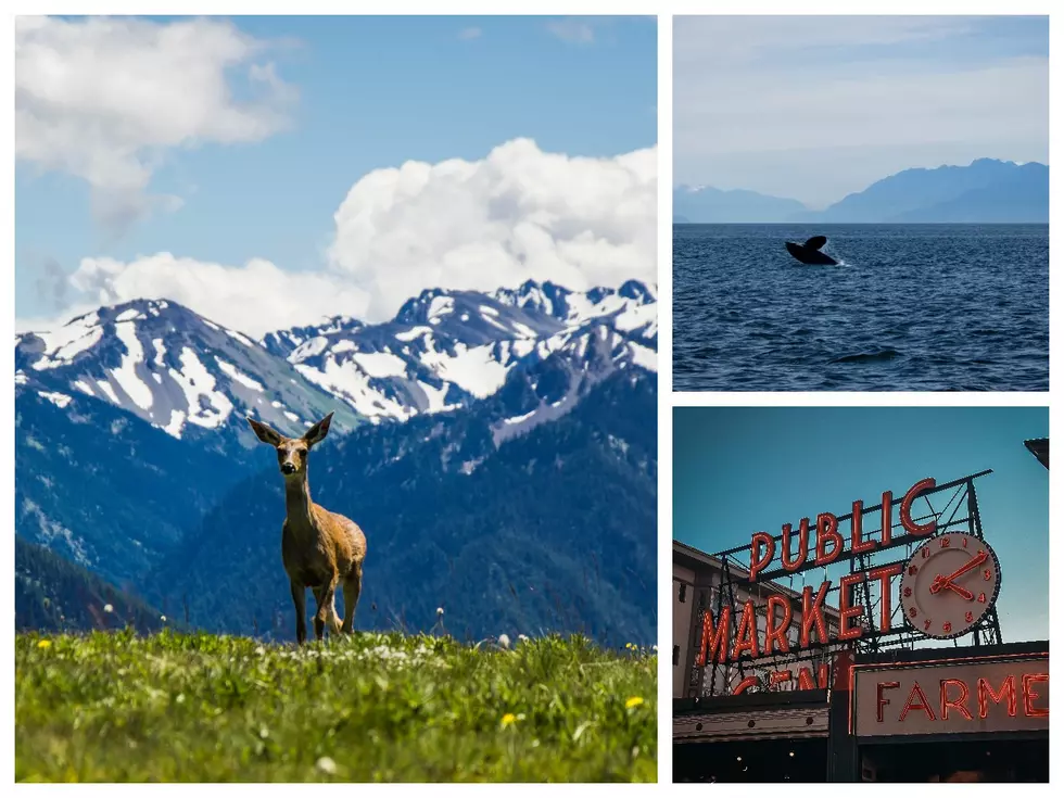 3 Must-See Unique Places To Visit in Washington State in 2023