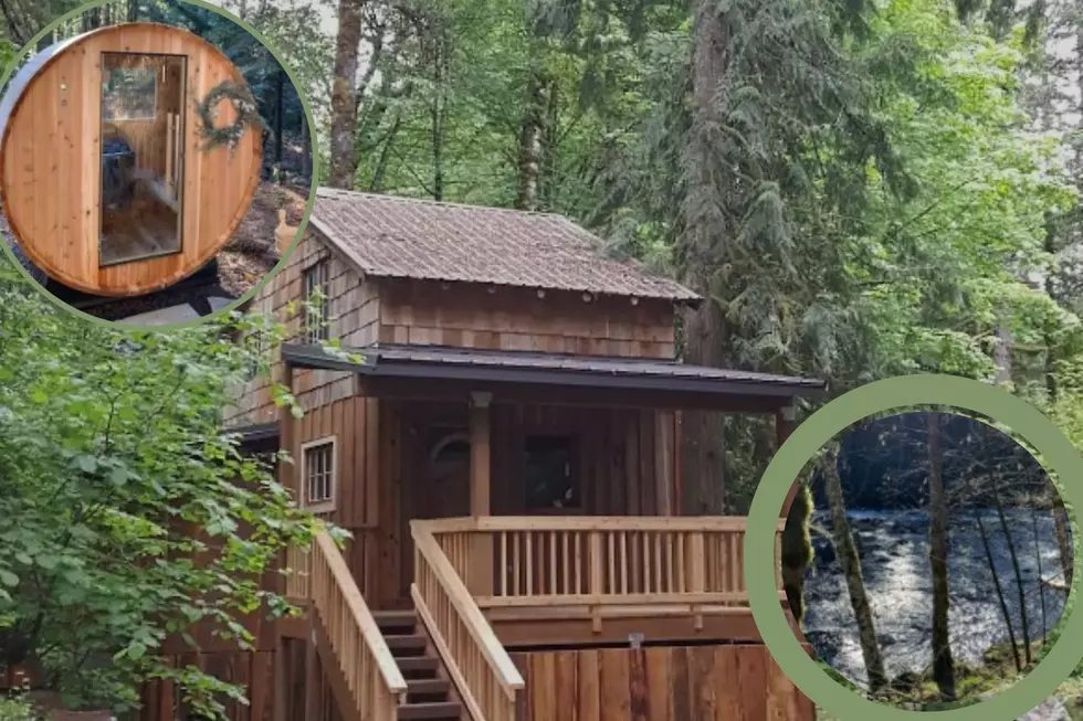 Compact HIde Out in the Woods of Oregon for a Perfect Getaway