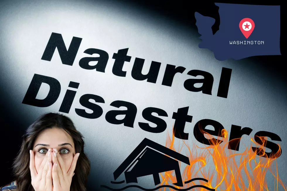 The #1 Natural Disaster You Should Prepare for in Washington State