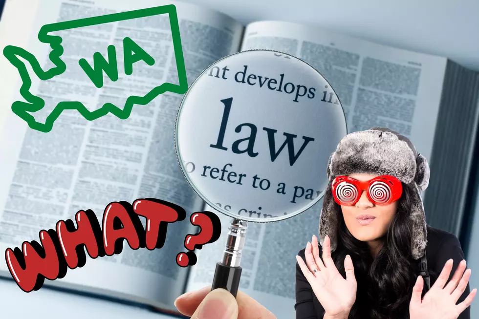 10 of the Wackiest Washington State Laws You Won’t Believe