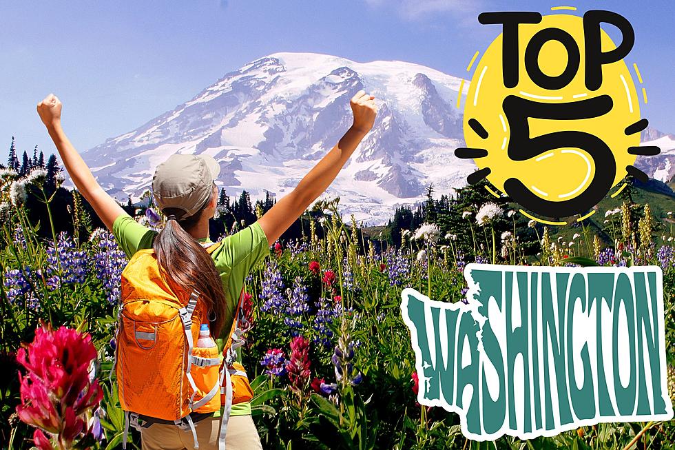 Ranked: Where Are 5 of the Highest Points in Washington State?