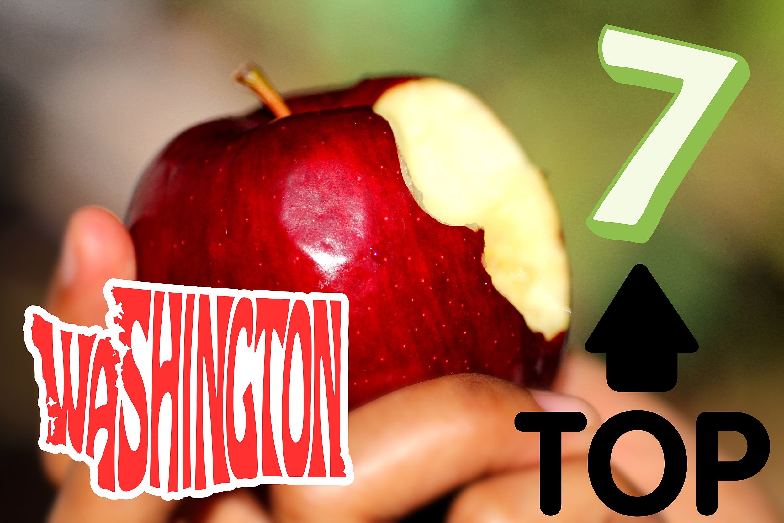 Washington State Apples Are In The Bag - Produce Business