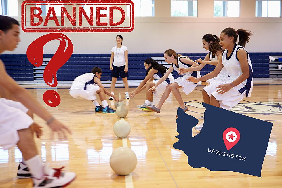 The Great Dodgeball Debate – Is It Banned in Washington State?