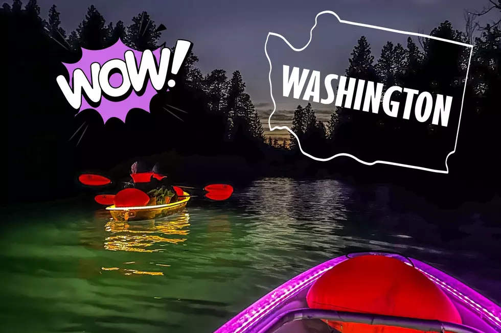 The Ultimate Invisible Kayak Adventure Near Tri-Cities Washington