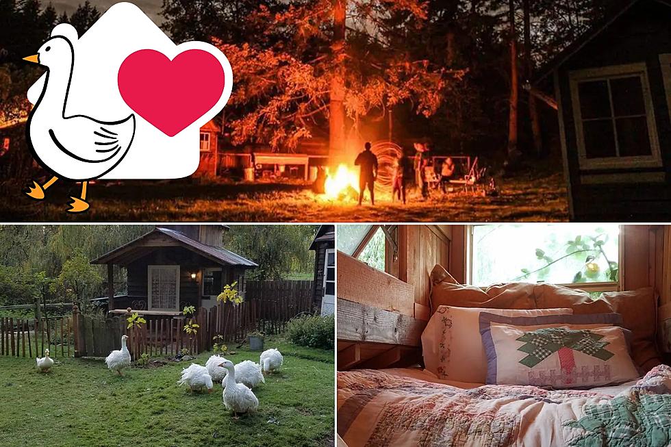 Fly the Coop at This Cute, Adorable Mother Goose Cabin in WA