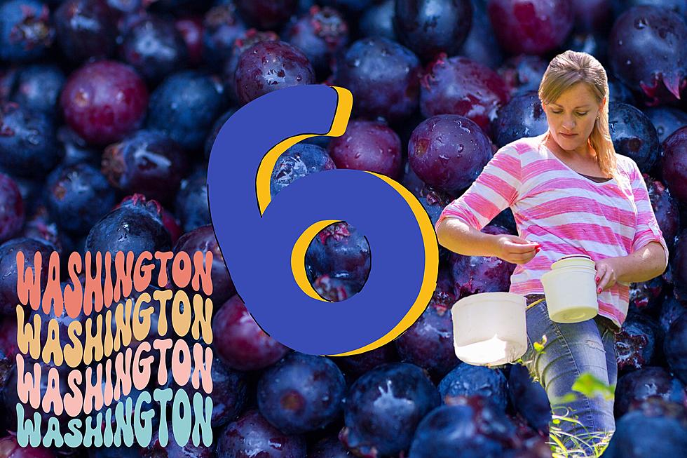 6 of the Best Places To Go Huckleberry Picking in Washington State