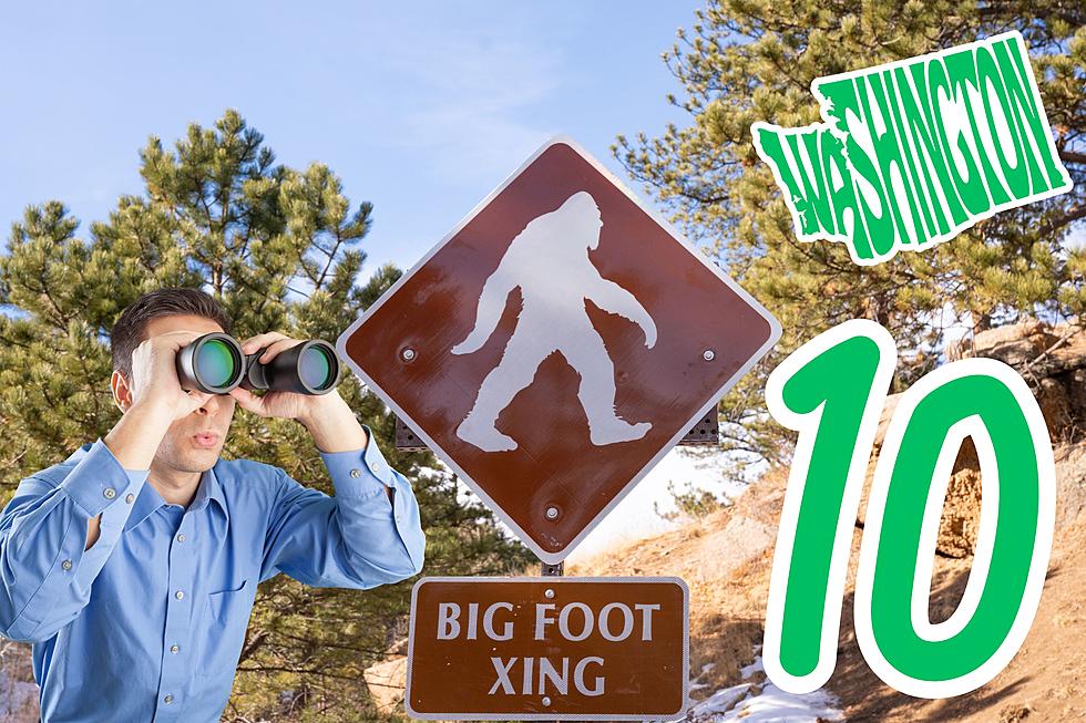 10 Best Places To Spot a Sasquatch in Washington State