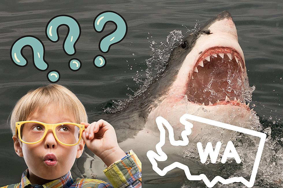 Have There Ever Been Sharks in the Columbia River?