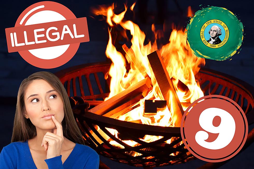 9 Things You Can’t Legally Burn in a Bonfire in Washington State