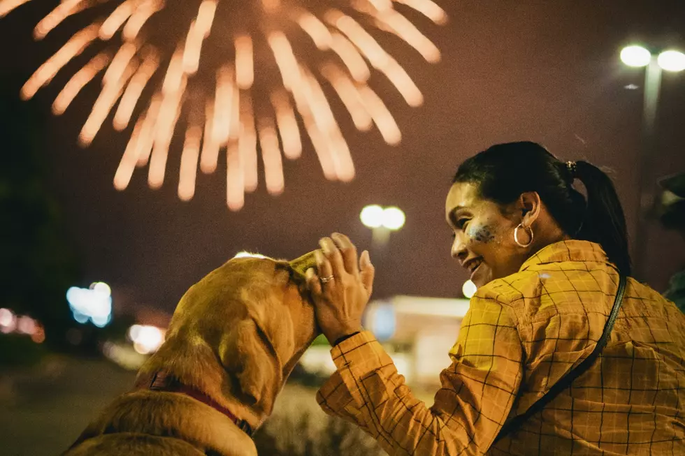 Valuable Tips to Keep Your Pets Safe During Loud July 4th Fireworks