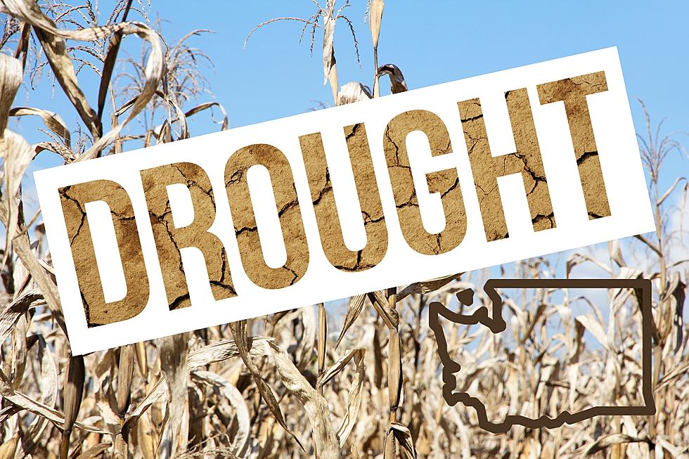 It's Completely Official: Drought Declared in 12 WA Counties