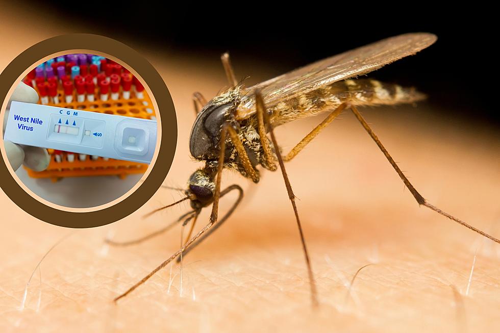 West Nile Virus Found in Benton County-How to Protect Yourself
