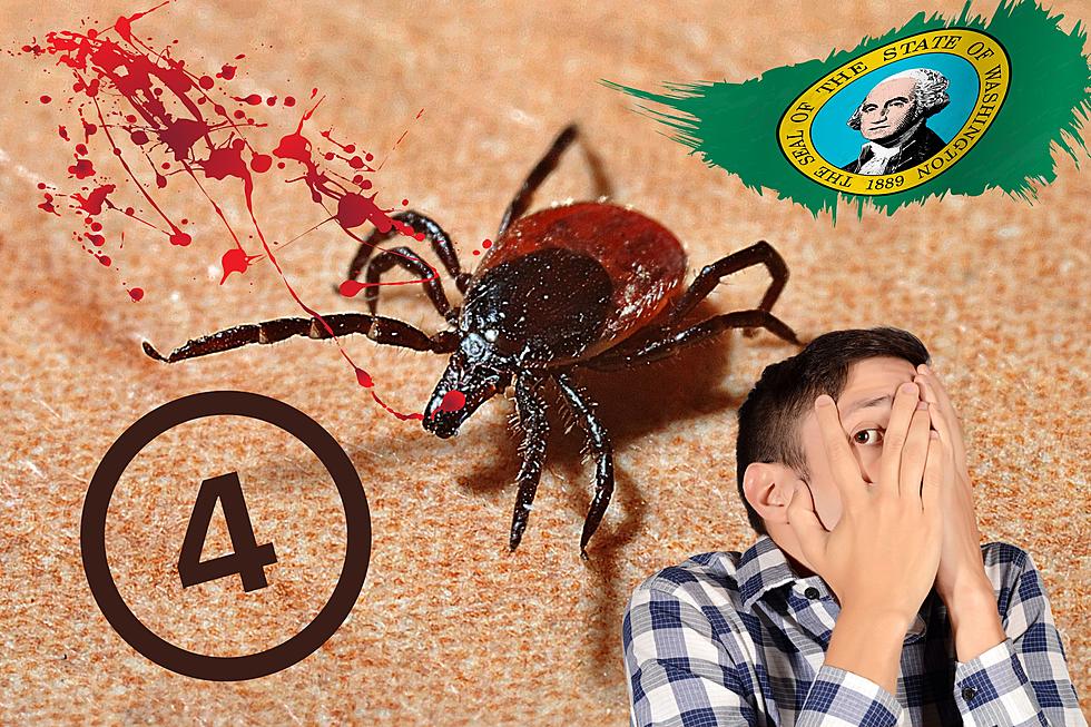 Stay Away From These 4 Dangerous Ticks in Washington State