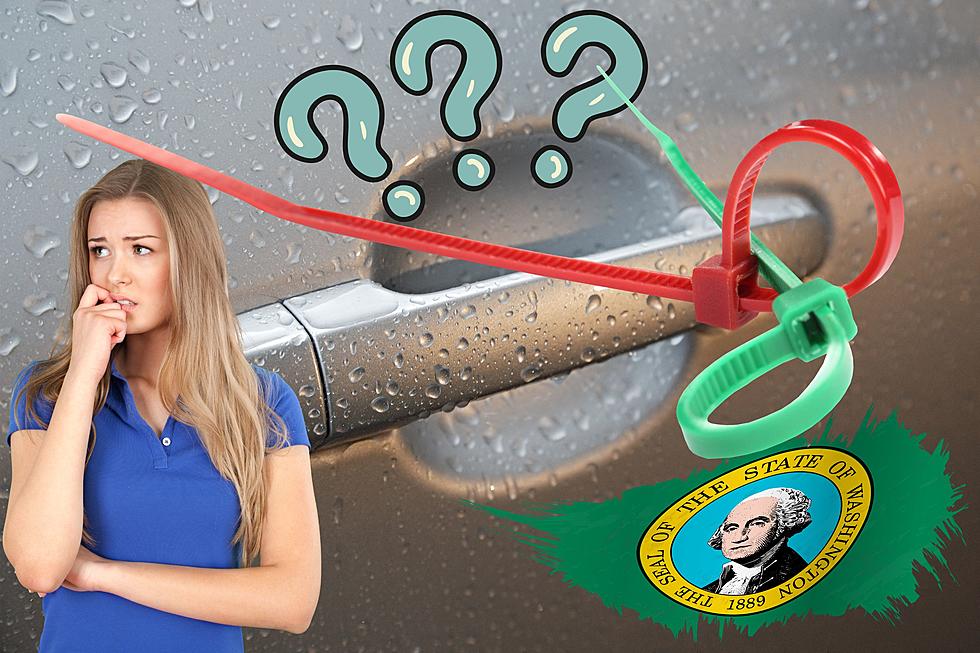 Why a Zip Tie on Your Car Door in Washington State Is a Big Deal