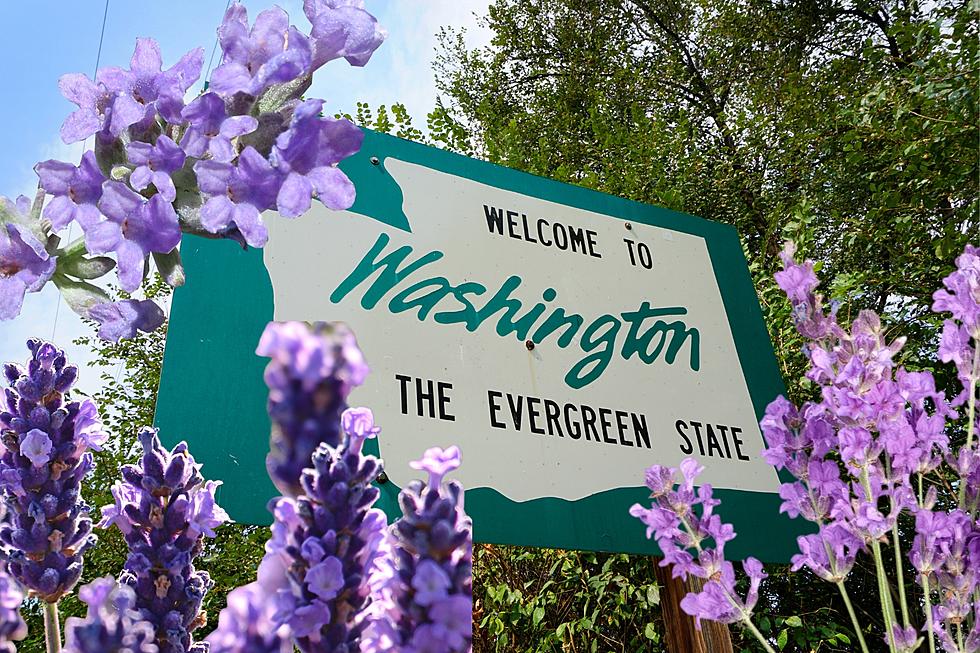Why is This Charming WA Town Known as the Lavender Capital of North America?