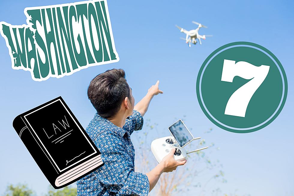 7 Important Drone Laws You Need To Know in Washington State