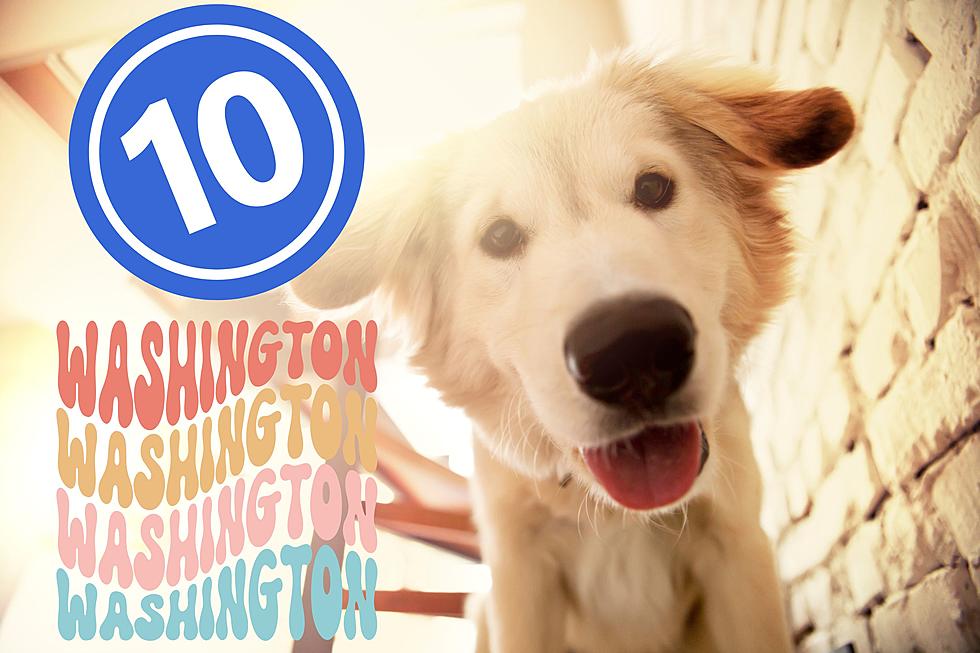 10 Tri-Cities Washington-Inspired Pet Names You’ll Want To Steal