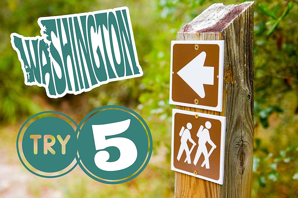 5 Tri-Cities WA Hiking Trails That Might Be Better Than Badger Mountain