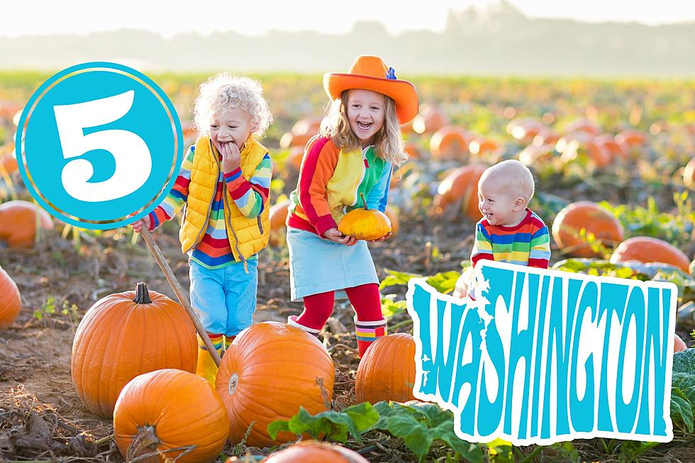 5 of the Best Pumpkin Patches Near Tri-Cities Washington