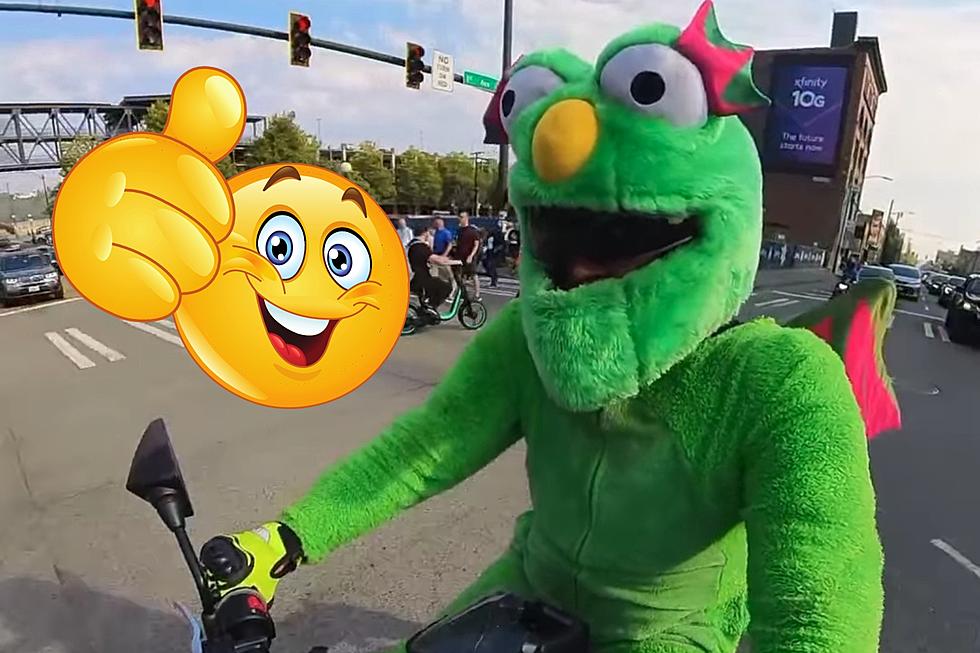 Thrill-Seeking Fluffy, Green Dragon on Motorcycle Delighting WA