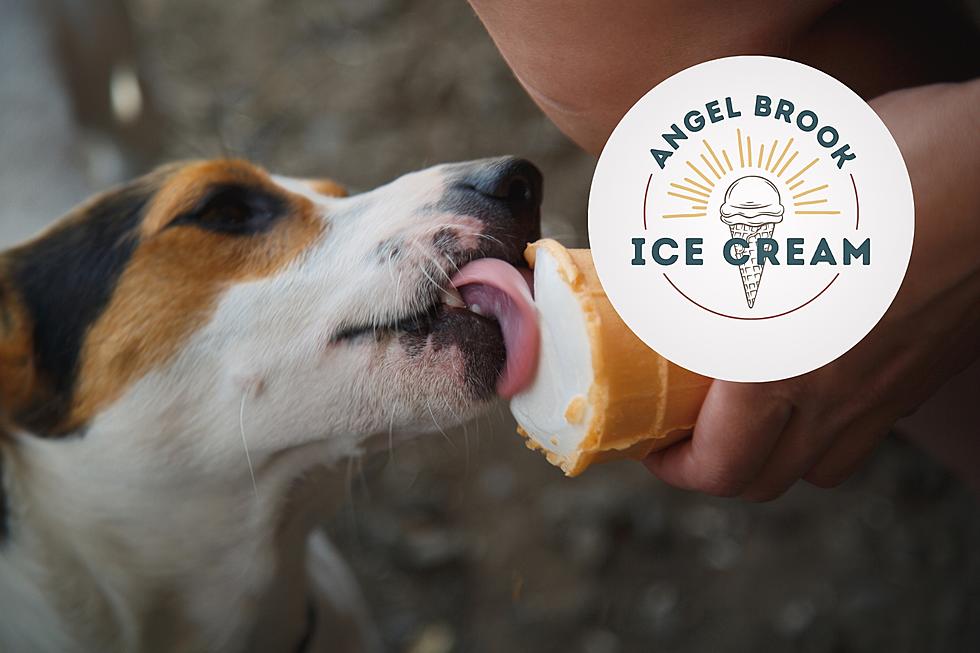 Free Ice Cream Cones for Pups This Friday in Kennewick