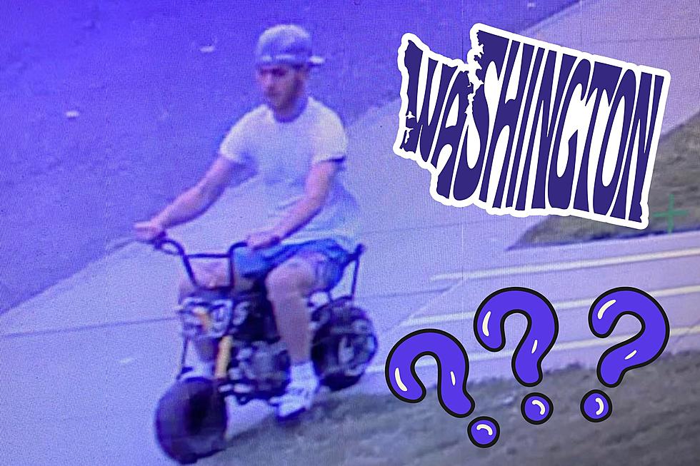 Washington State’s Crazy Mini-Bike Mayhem: Do You Need a License?