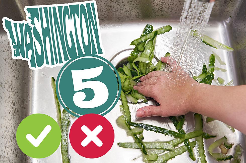 Hey Washington: 5 Things You Should Never Feed Your Garbage Disposal