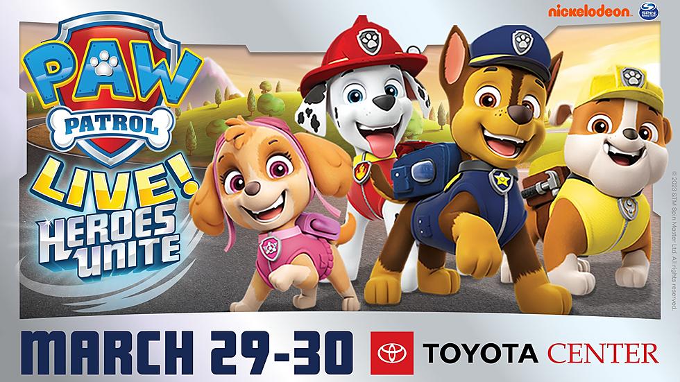 Popular Paw Patrol Live! is Coming to Kennewick March 29th-30th
