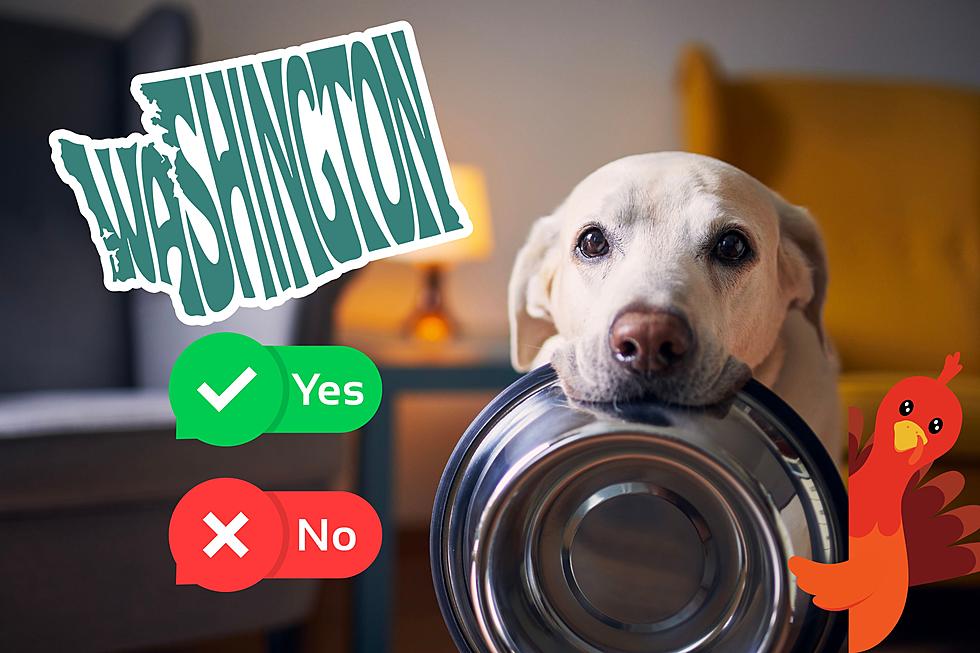 Thanksgiving Dos and Don'ts for WA State Pet Owners