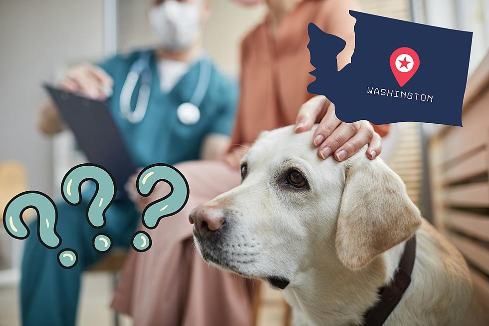 Facts: Mysterious Dog Illness Has Reached Washington State