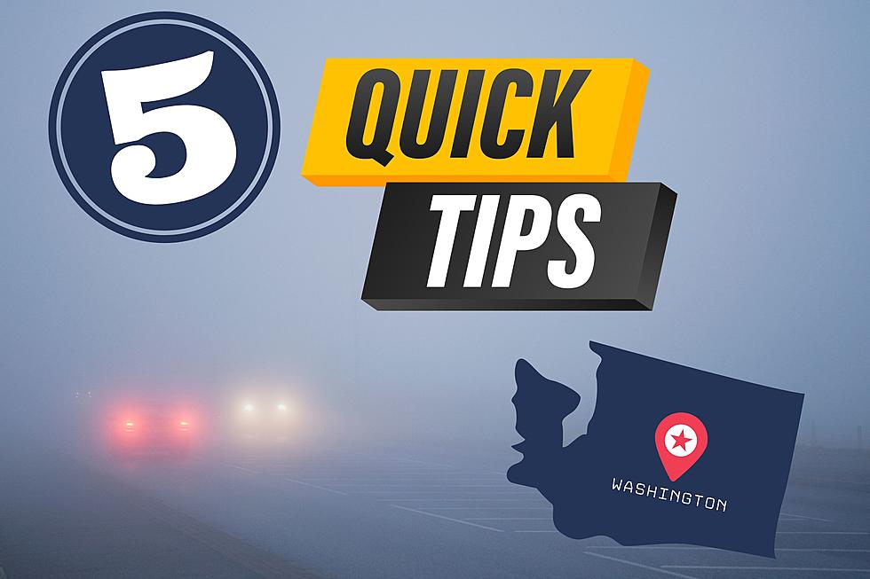 How to Navigate Through Thick Fog While Driving in Washington State