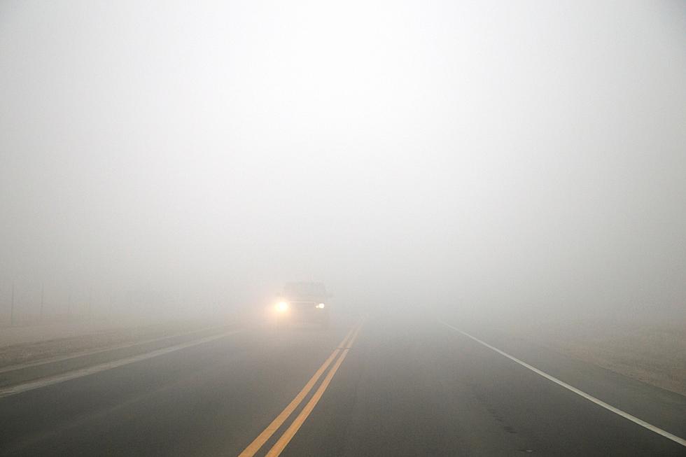 WA Drivers: Heavy, Dense Fog Will Challenge You on the Commute