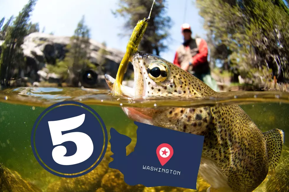 Exploring the 5 Best Fishing Spots in Washington State