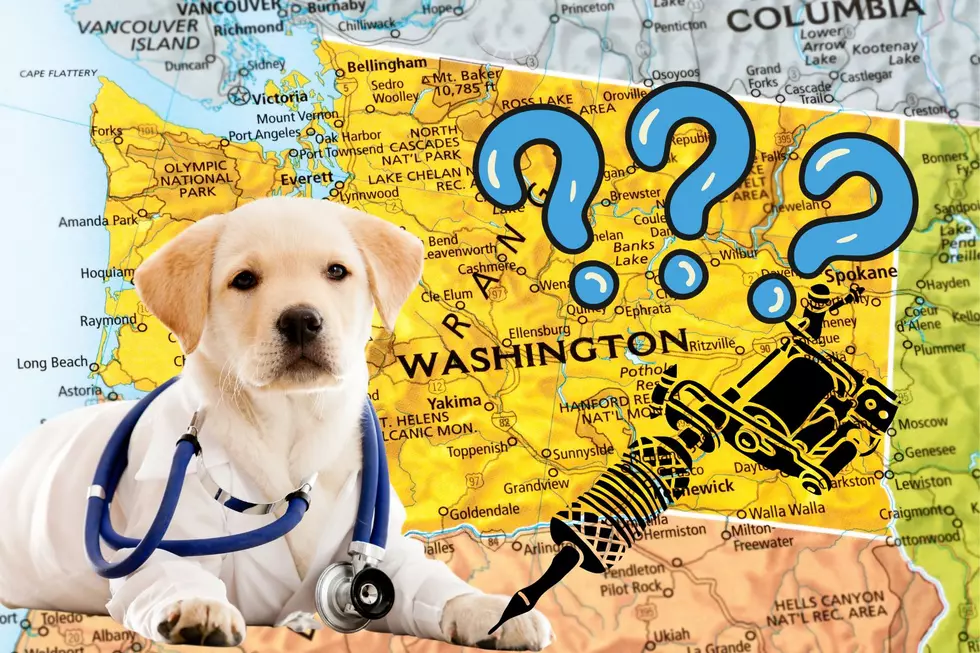Washingtonians: Have You Checked Your Dog’s Stomach for a Secret Blue Tattoo?