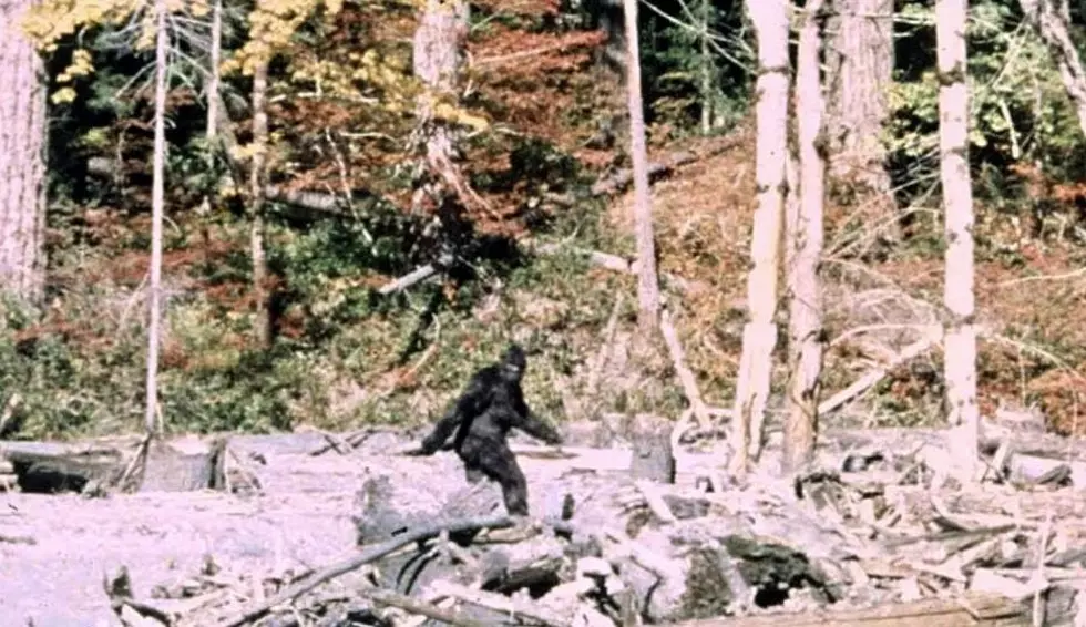 Famous Revealing Bigfoot Film Has Ties to Washington State