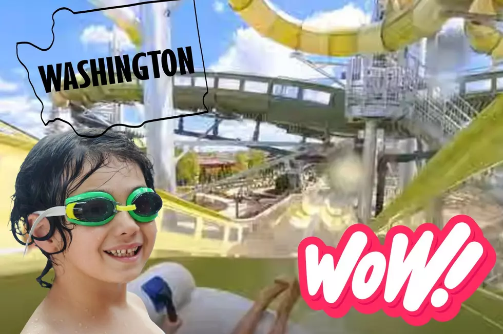 Must See: “Longest” Water Coaster Opens Near Washington State