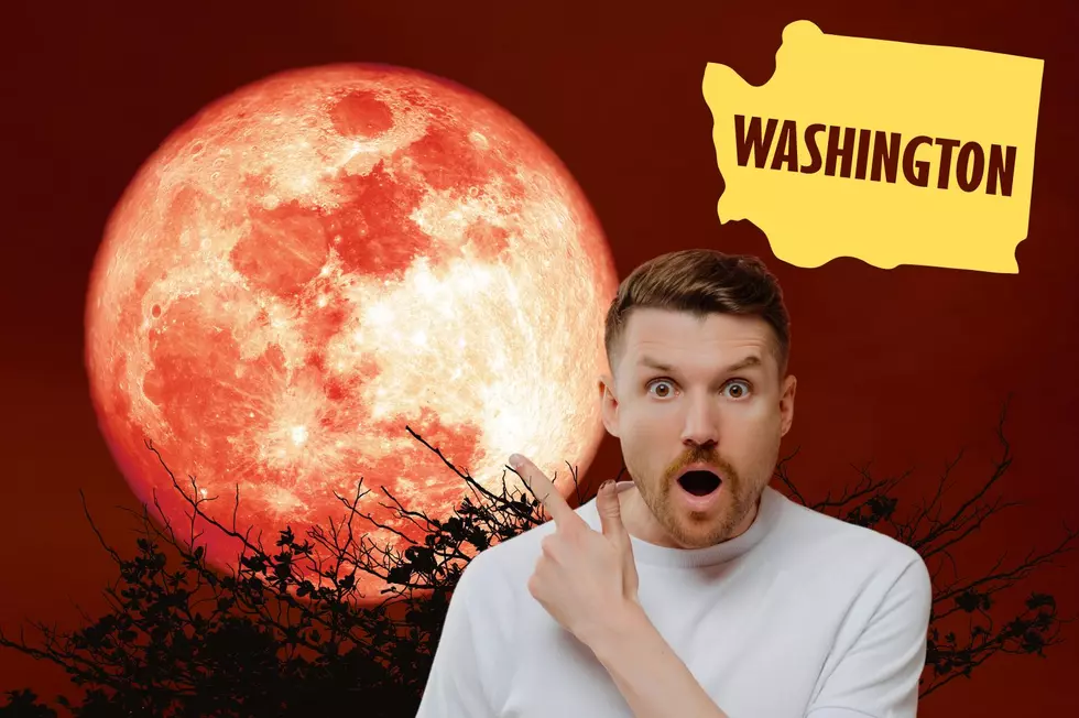 Amazing &#8220;Strawberry&#8221; Moon Rises Above Washington State