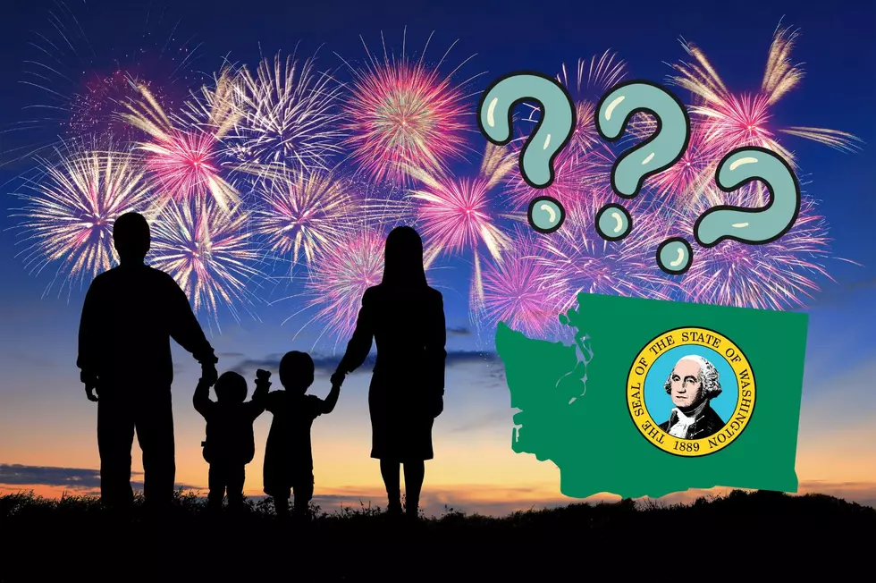 The One Public Place Fireworks Are 100% Illegal in Washington State