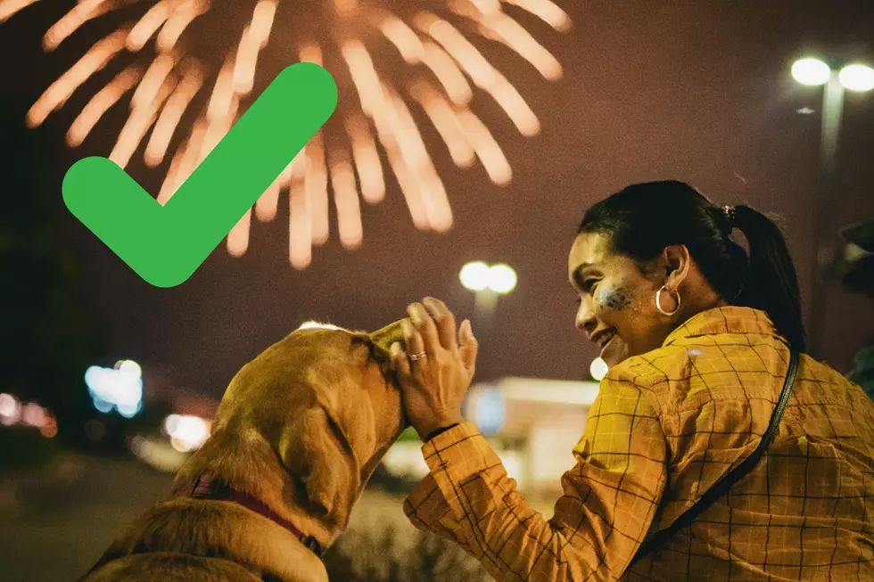 Valuable Tips to Keep Your Pets Safe During Loud July 4th Fireworks