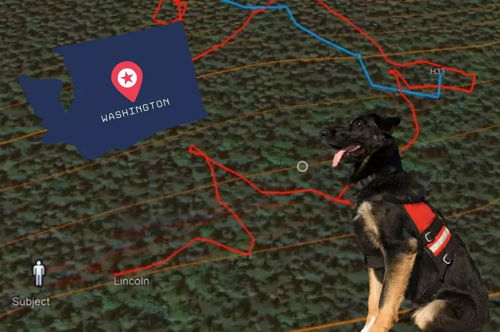 Interactive Map Shows Amazing Washington State K-9 Search Rescue
