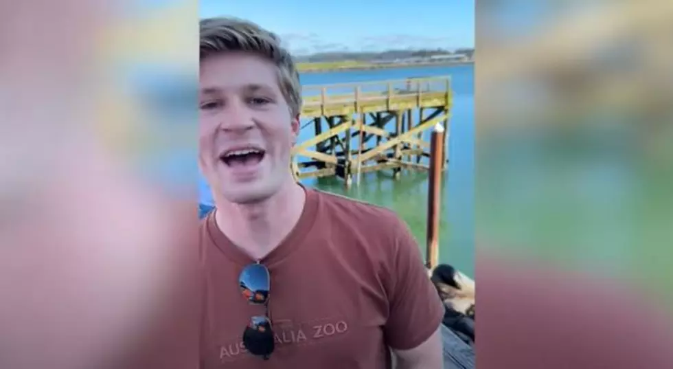 Famous Celeb Spotted Watching Sea Lions on the Oregon Coast