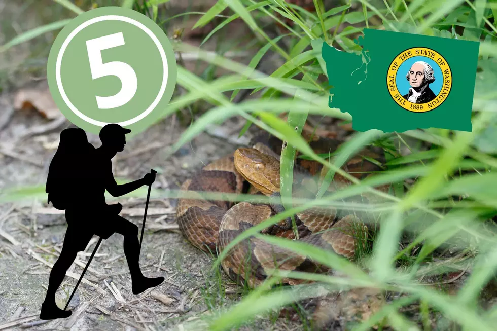 5 of the Most Snake-Infested Hiking Trails in Washington State