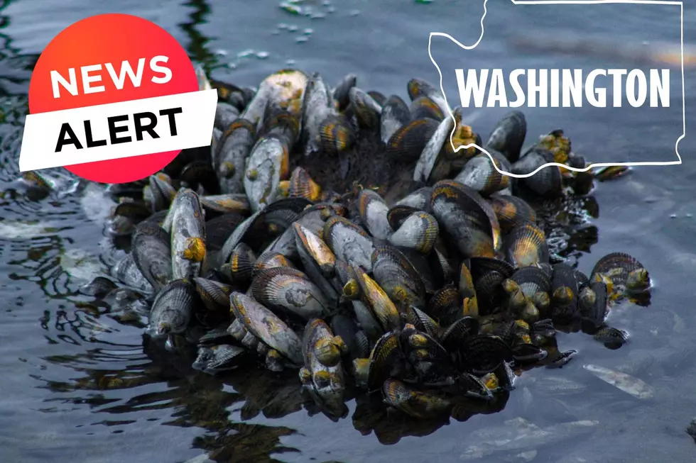 Alert: Invasive Species Rattles Washington State Pet Store