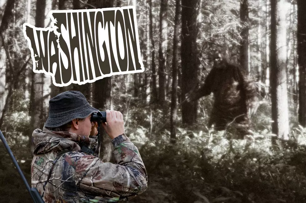Another Shocking Bigfoot Sighting Near Forks Washington