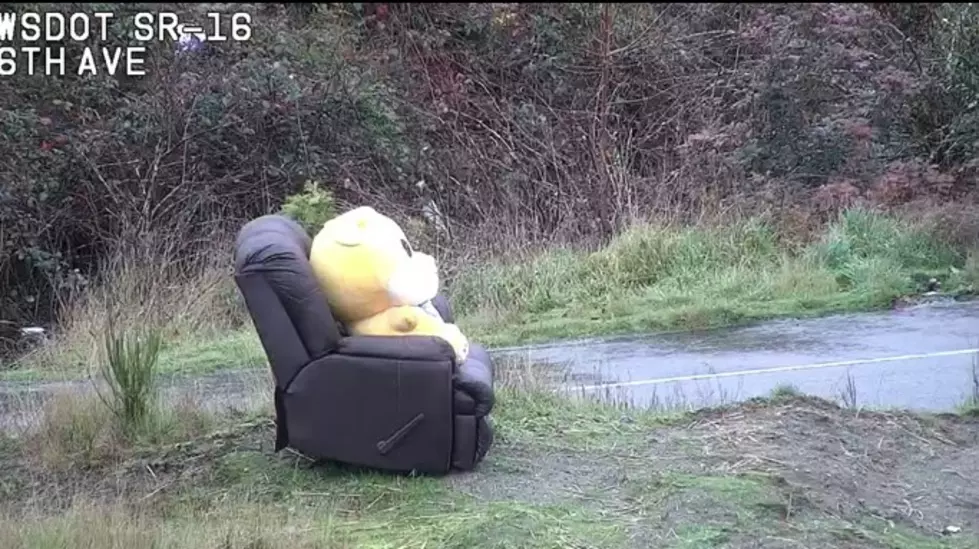 WA DOT: Giant Teddy Bear Abandoned on Washington State Highway
