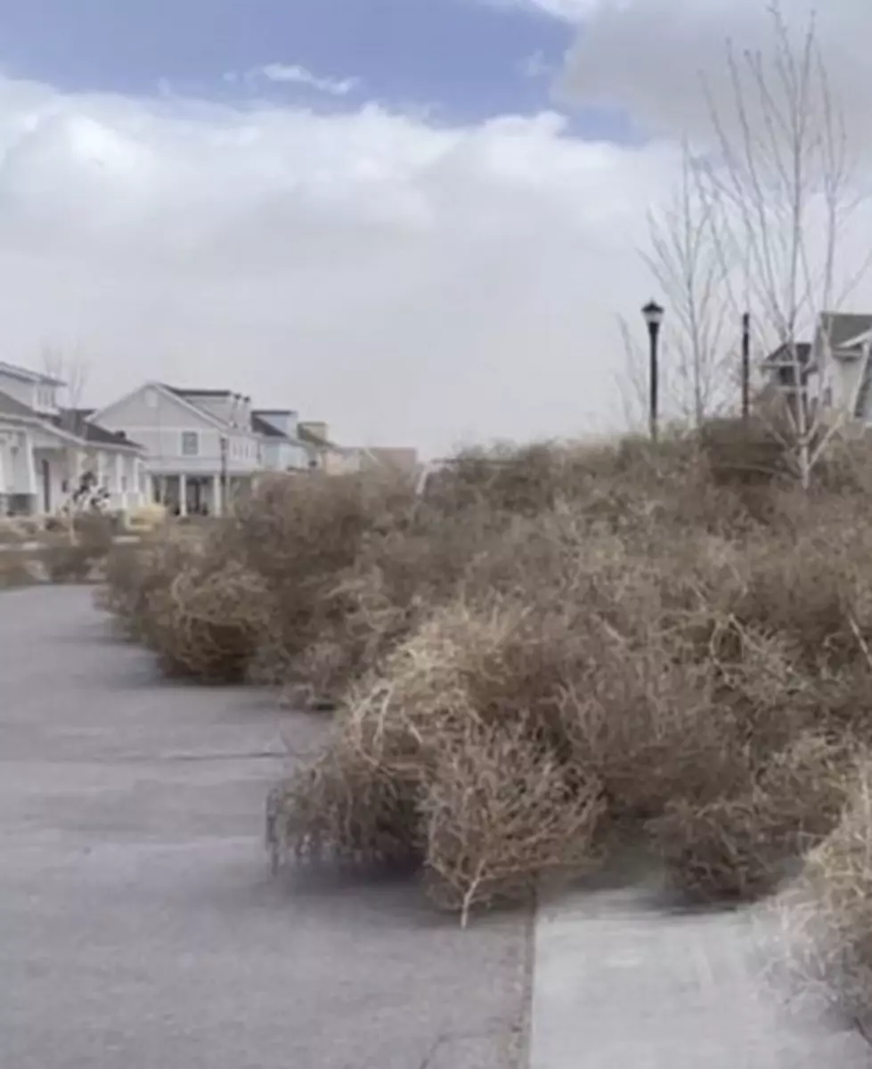 credit: city of west richland