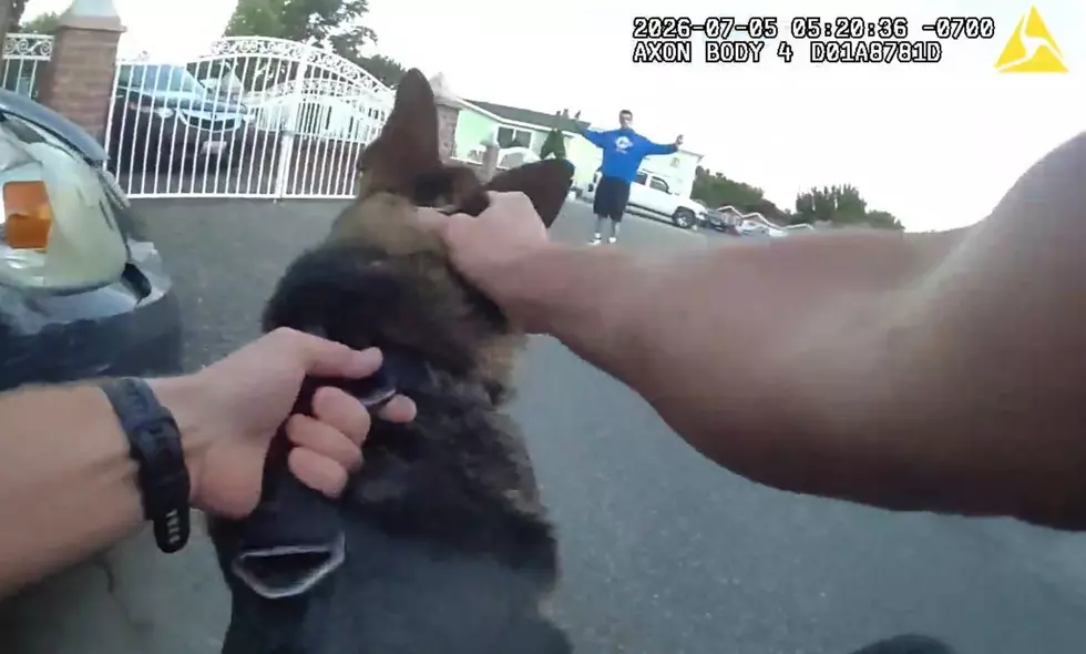 K-9 Ivan’s Presence Helps Kennewick Police Arrest Armed Robbery Suspect