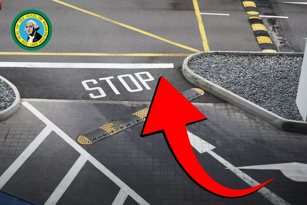 Stop Sign or Stop Bar? What Washington Drivers Need to Know