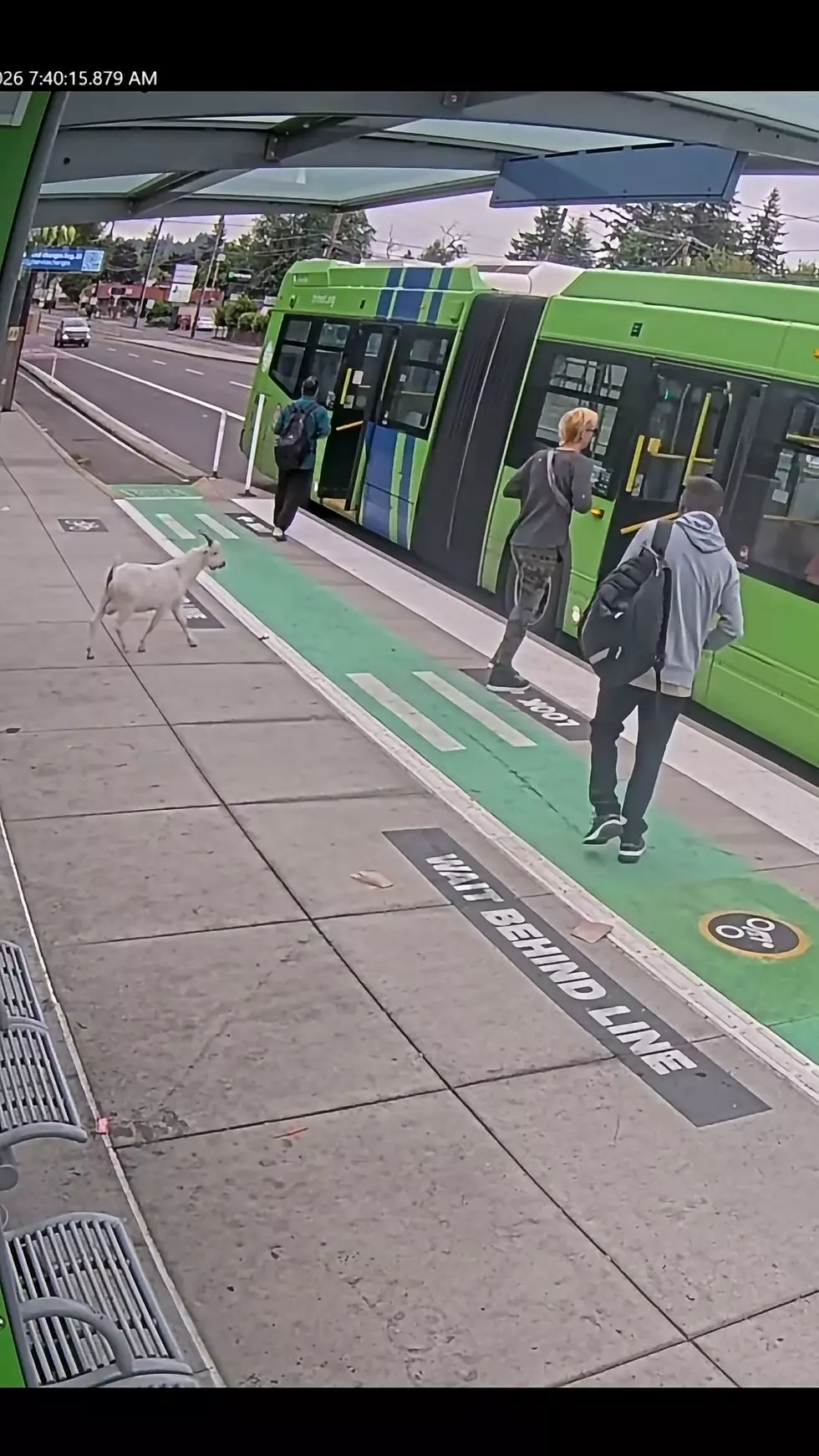 credit: trimet via facebook